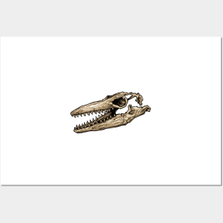 Dinosaur Skull Mosasaurus Sticker Posters and Art